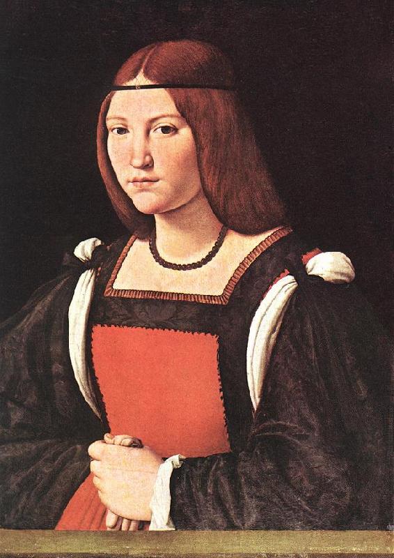 BOLTRAFFIO, Giovanni Antonio Portrait of a Young Woman 55